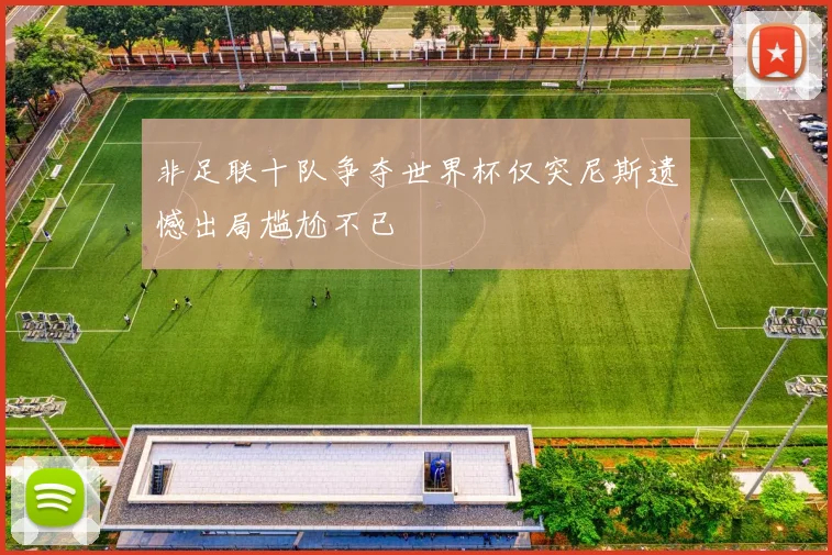 非足联十队争夺世界杯仅突尼斯遗憾出局尴尬不已