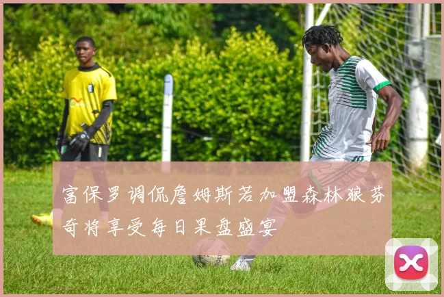 富保罗调侃詹姆斯若加盟森林狼芬奇将享受每日果盘盛宴