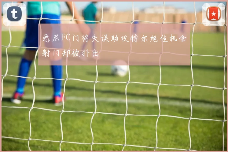悉尼FC门将失误助攻特尔绝佳机会射门却被扑出